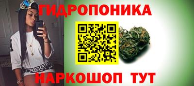 сатива Пушкино