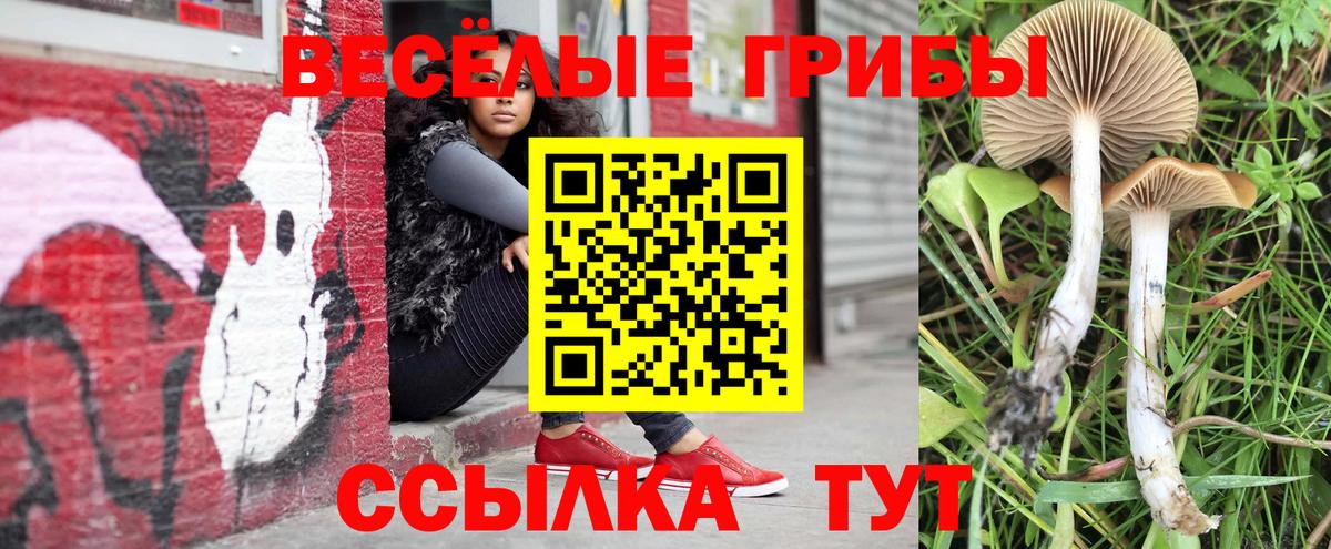 Галлюциногенные грибы GOLDEN TEACHER  купить закладку  Углич  Вход с VPN  Галлюциногенные грибы Psilocybine cubensis 